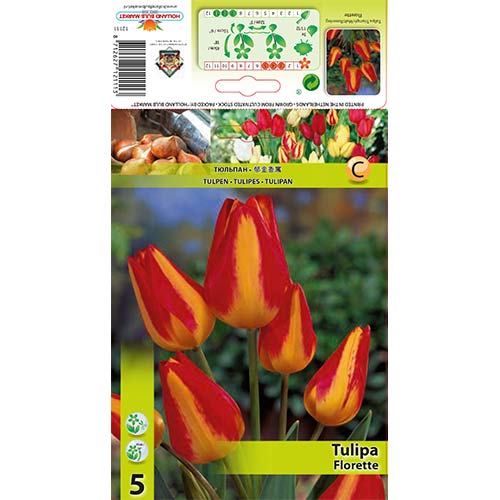 Tulipán Florette artikel fotografie 1 Tulipán Florette obrázek 1 artikel 70305