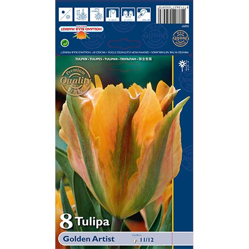 Tulipán Golden Artist obrázek 1 artikel 68032