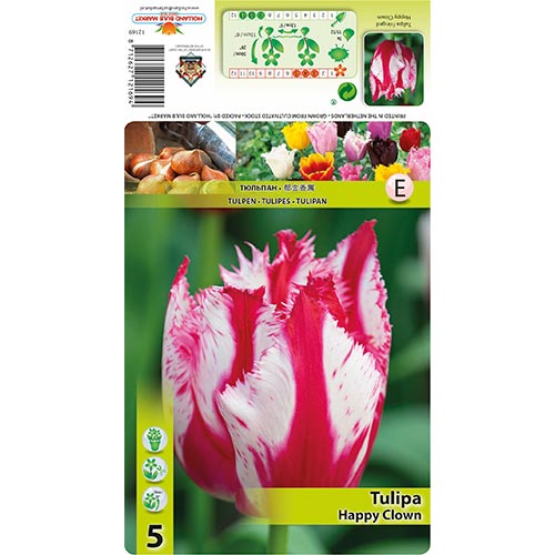 Tulipán Happy Clown obrázek 1 artikel 68398