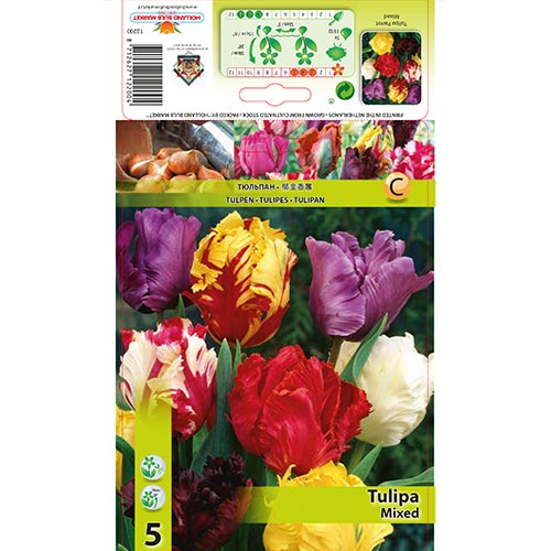 Tulipán, mix obrázek 1 artikel 67874