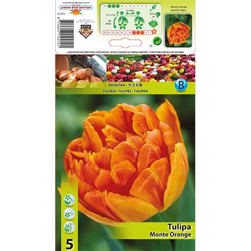 Tulipán Monte Orange obrázek 1 artikel 67774