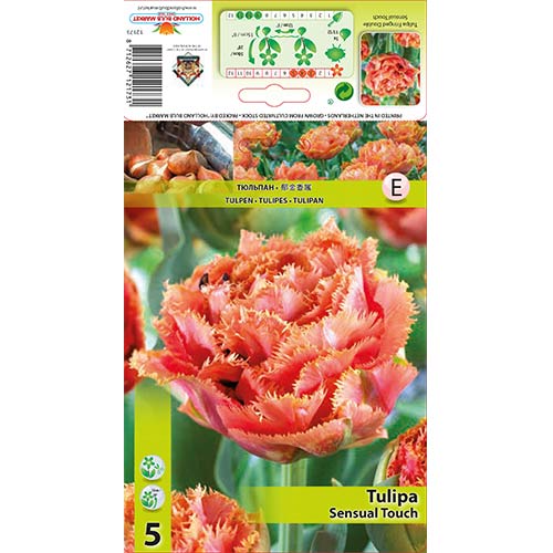 Tulipán Sensual Touch artikel fotografie 1 Tulipán Sensual Touch obrázek 1 artikel 67831