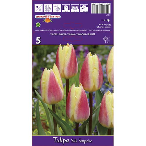 Tulipán Silk Surprise obrázek 1 artikel 68117