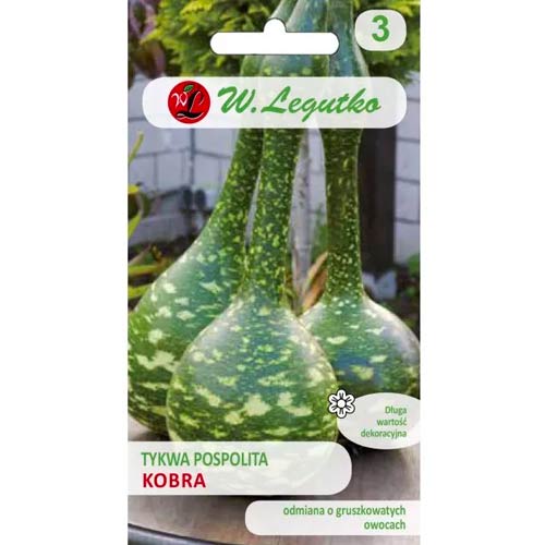 Tykev kobry obecná obrázek 1 artikel 69637