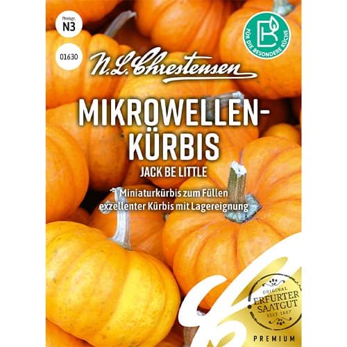 Tykev miniaturní Jack Be Little obrázek 1 artikel 86060