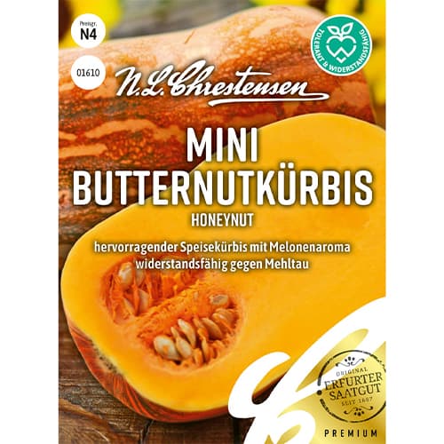 Tykev muškátová mini Honeynut obrázek 1 artikel 86061