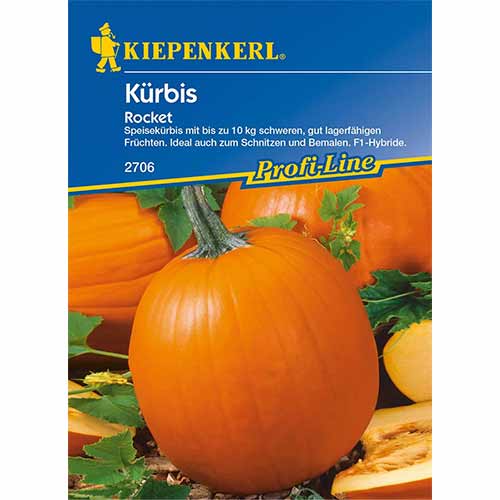 Tykev muškátová Rocket F1 obrázek 1 artikel 96629