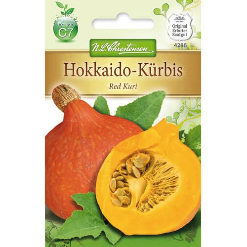 Tykev Red Kuri obrázek 1 artikel 78796