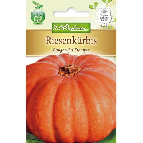 Tykev Rouge vif d´Etampes obrázek 1 artikel 78797