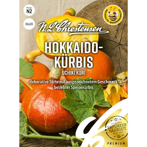 Tykev Uchiki Kuri obrázek 1 artikel 86050