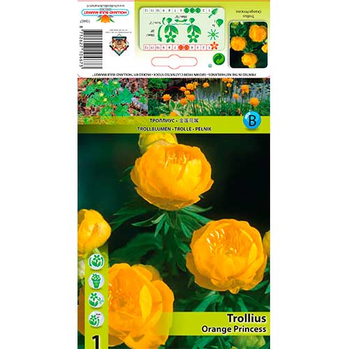 Upolín zahradní (Trollius hybridus) Orange Princess artikel fotografie 1 Upolín zahradní (Trollius hybridus) Orange Princess obrázek 1 artikel 76364
