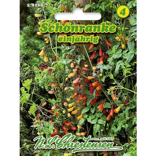 Úponatka, směs obrázek 1 artikel 96417