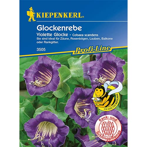 Vilec šplhavý Violett artikel fotografie 1 Vilec šplhavý Violett obrázek 1 artikel 86266