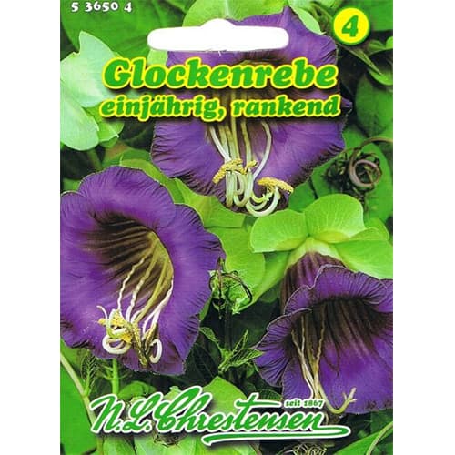 Vilec šplhavý obrázek 1 artikel 78982