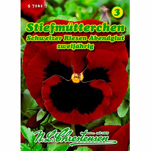 Violka mnohokvětá Abendglut obrázek 1 artikel 50037