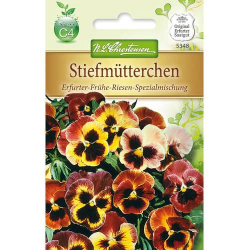 Violka mnohokvětá Early Giant, směs obrázek 1 artikel 78964