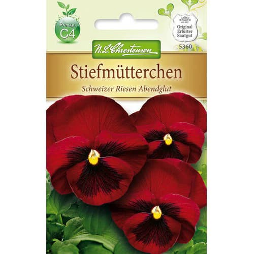 Violka mnohokvětá švýcarská Abendglut obrázek 1 artikel 78965