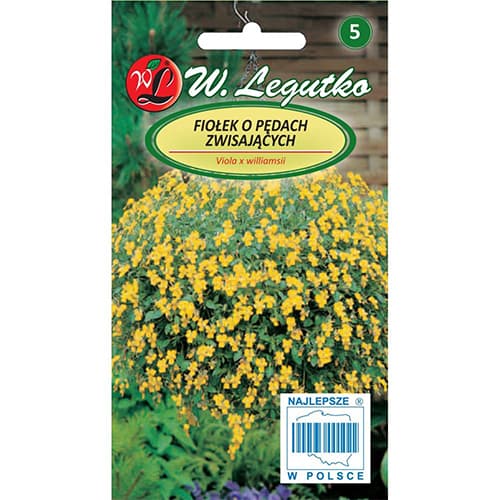 Violka s převislými výhonky žlutá artikel fotografie 1 Violka s převislými výhonky žlutá obrázek 1 artikel 69587