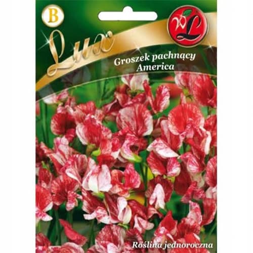 Voňavý hrášek America obrázek 1 artikel 86746