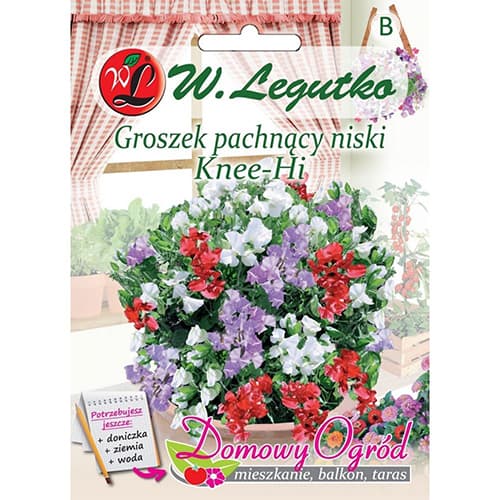 Voňavý hrášek Knee-Hi obrázek 1 artikel 69642