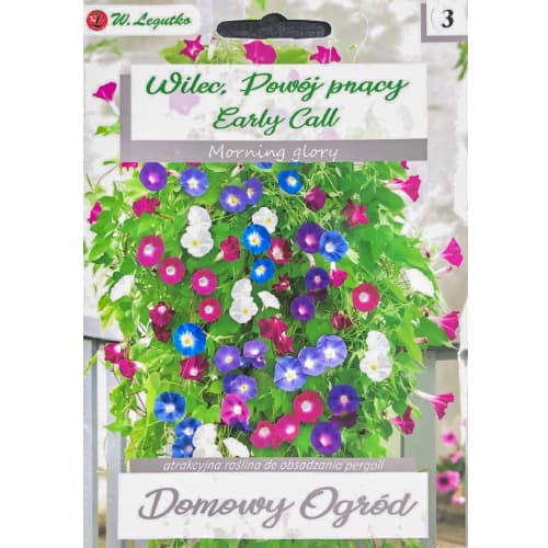 Wilec (Plazivá svatojánska) Early Call obrázek 1 artikel 96781