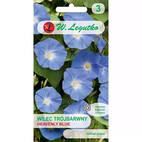 Wilec (Plazivá svatojánska) Heavenly Blue modrý obrázek 1 artikel 78595