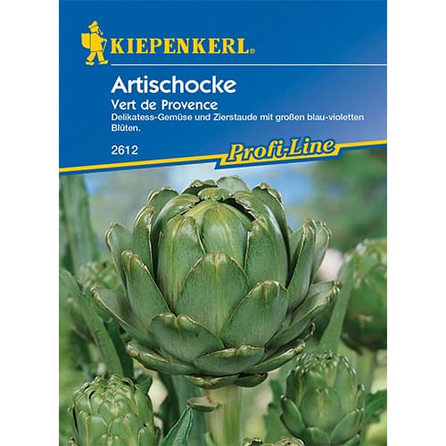 Zahradní artyčok Vert de Provence artikel fotografie 1 Zahradní artyčok Vert de Provence obrázek 1 artikel 86374