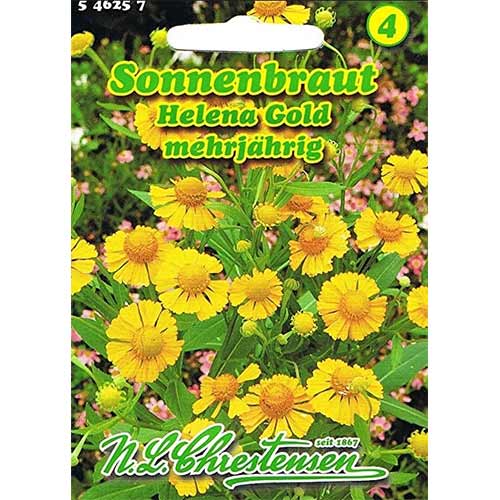 Záplevák podzimní Helena Gold obrázek 1 artikel 96426