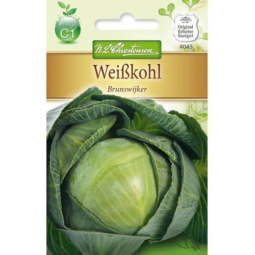 Zelí hlávkové bíle Brunswijker obrázek 1 artikel 78725