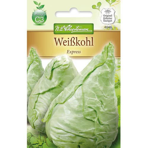 Zelí hlávkové bíle Express obrázek 1 artikel 78726