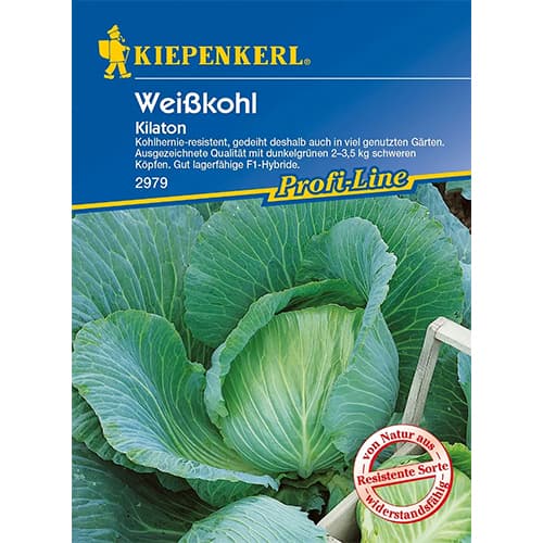 Hlávkové zelí bílé Kilaton F1 obrázek 1 artikel 86555