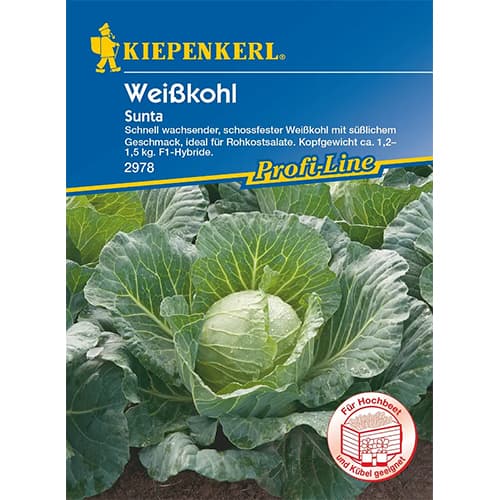 Hlávkové zelí bíle Sunta F1 obrázek 1 artikel 87297