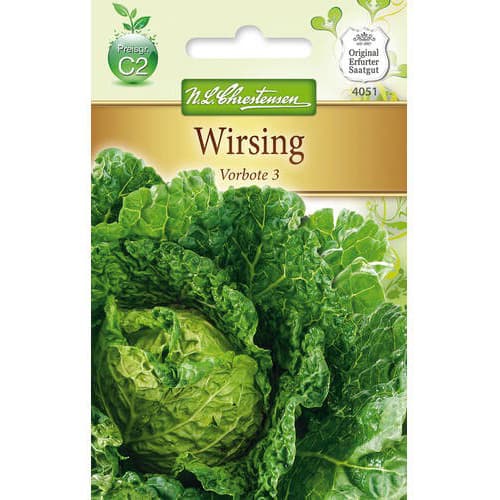 Zelí Vorbote 3 obrázek 1 artikel 78727