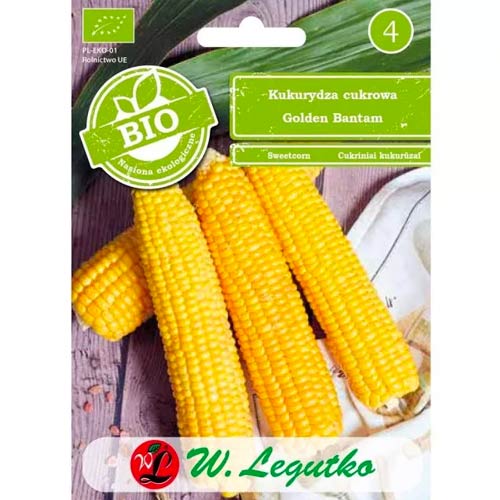 Zlatá bantamová sladká kukuřice obrázek 1 artikel 50131