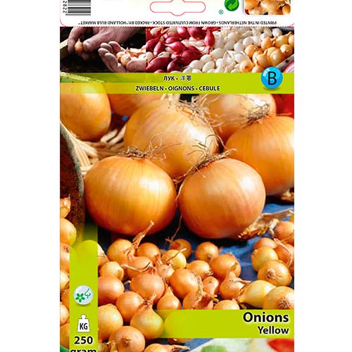 Žlutá cibule obrázek 1 artikel 70496