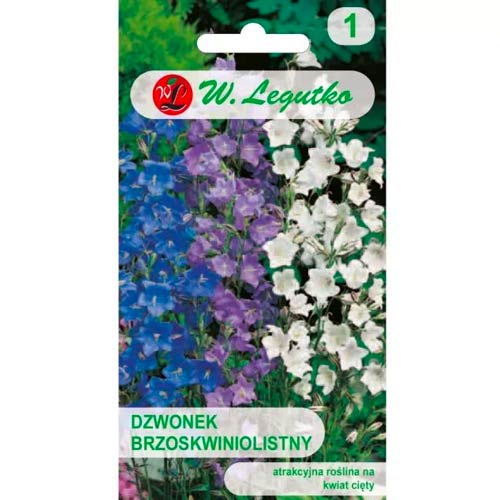 Zvonek broskvově listový, směs obrázek 1 artikel 50094