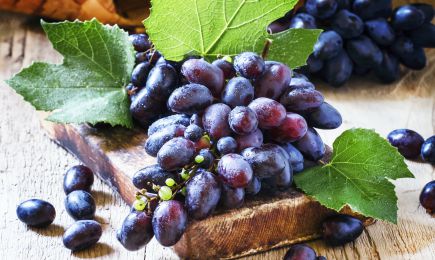 Bohatá chuť | Gradinamax