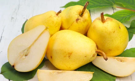 Křupavá pochoutka | Gradinamax