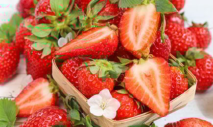 Medová pochoutka | Gradinamax