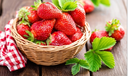 Neobvyklý dezert | Gradinamax