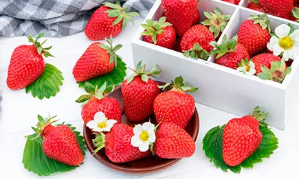 Neobvyklý dezert | Gradinamax