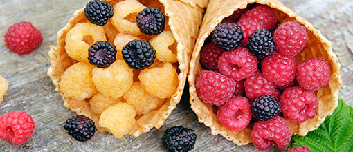 Sladké bobule | Gradinamax