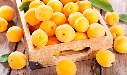 Sladké, šťavnaté, výnosné | Gradinamax