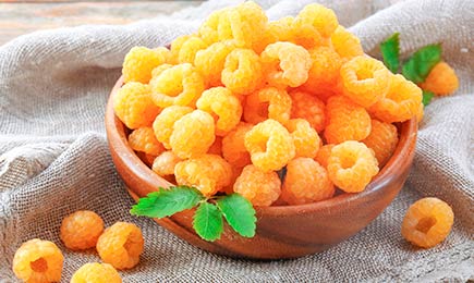 Sladké bobule | Gradinamax