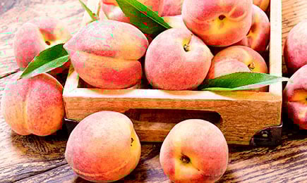 Velké, chutné, sladké | Gradinamax